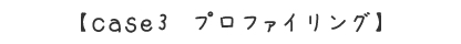 case3 プロファイリング